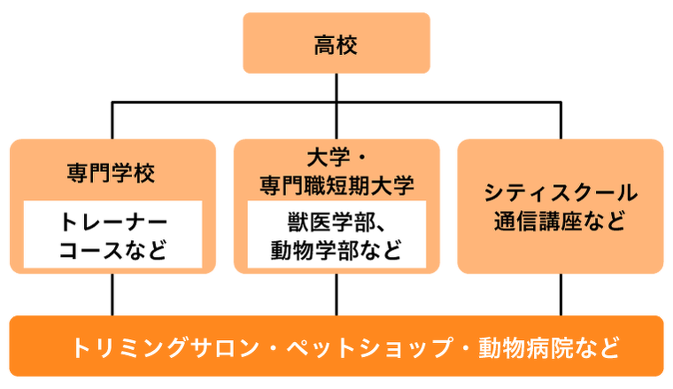 トリマーになるには