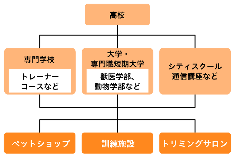 ドッグトレーナーになるには