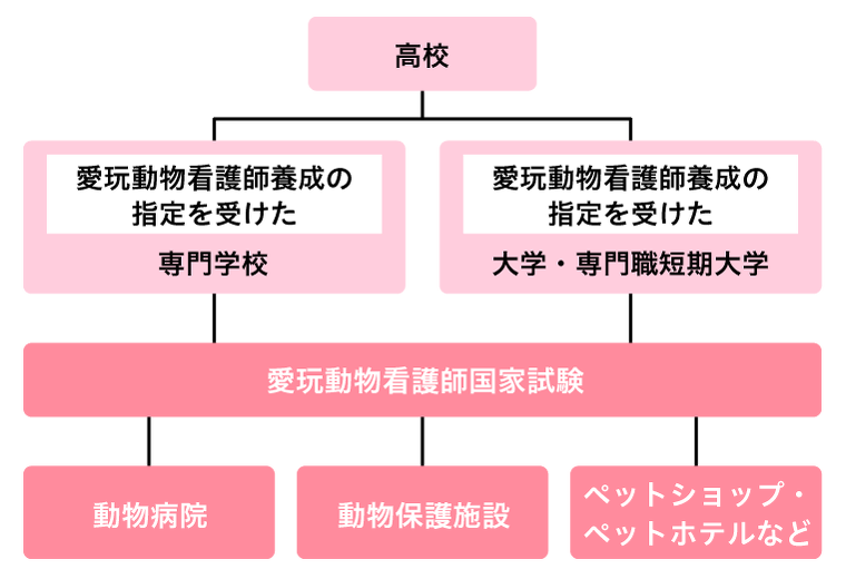 愛玩動物看護士になるには