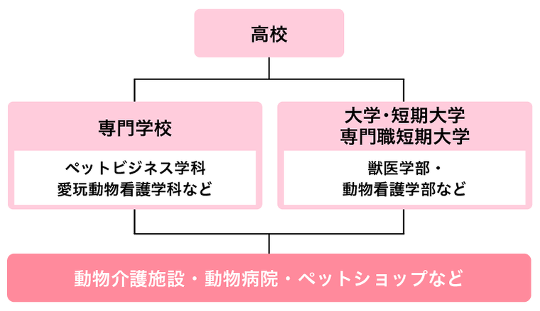 動物介護士