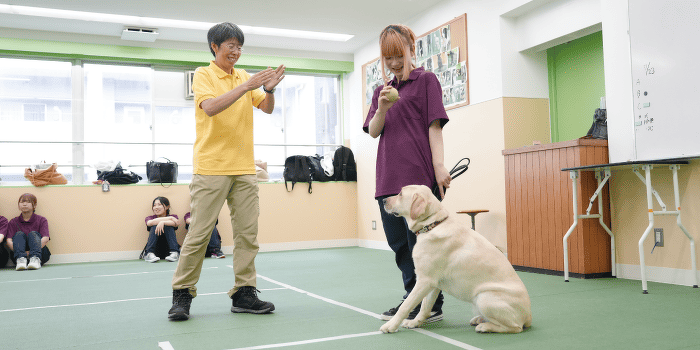 訓練士の先生から学ぶ犬のトレーニング体験