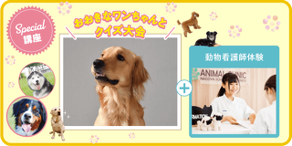 大きなワンちゃんとクイズ大会＋動物看護体験