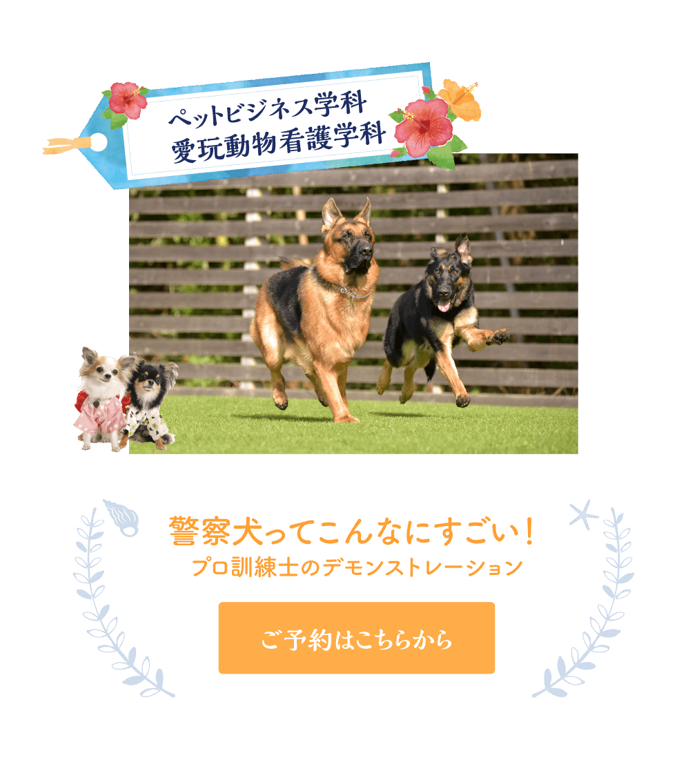 警察犬ってこんなにすごい！プロ訓練士のデモンストレーション