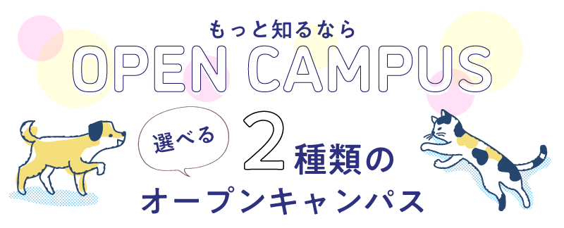 選べる2種類のオープンキャンパス