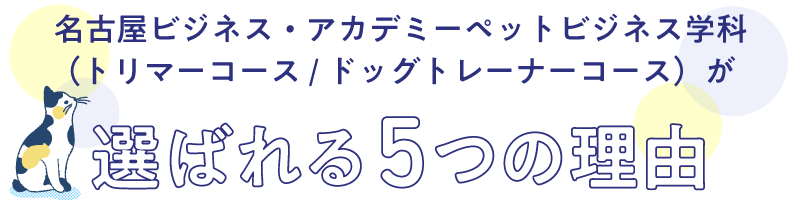 選ばれている理由